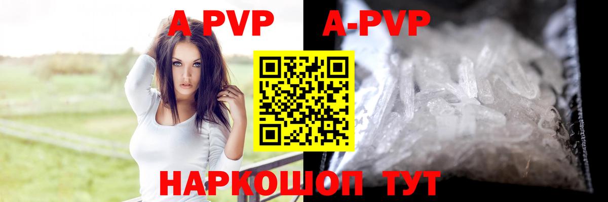 Alpha PVP СК КРИС  Alfa_PVP СК КРИС  Вход с VPN  Шебекино 