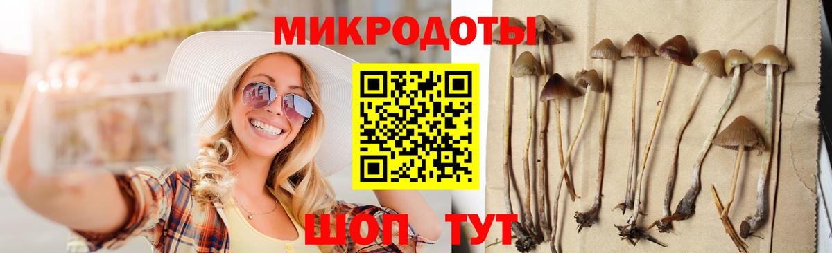 Псилоцибиновые грибы Magic Shrooms  Вход с VPN  Шебекино  Псилоцибиновые грибы мухоморы 
